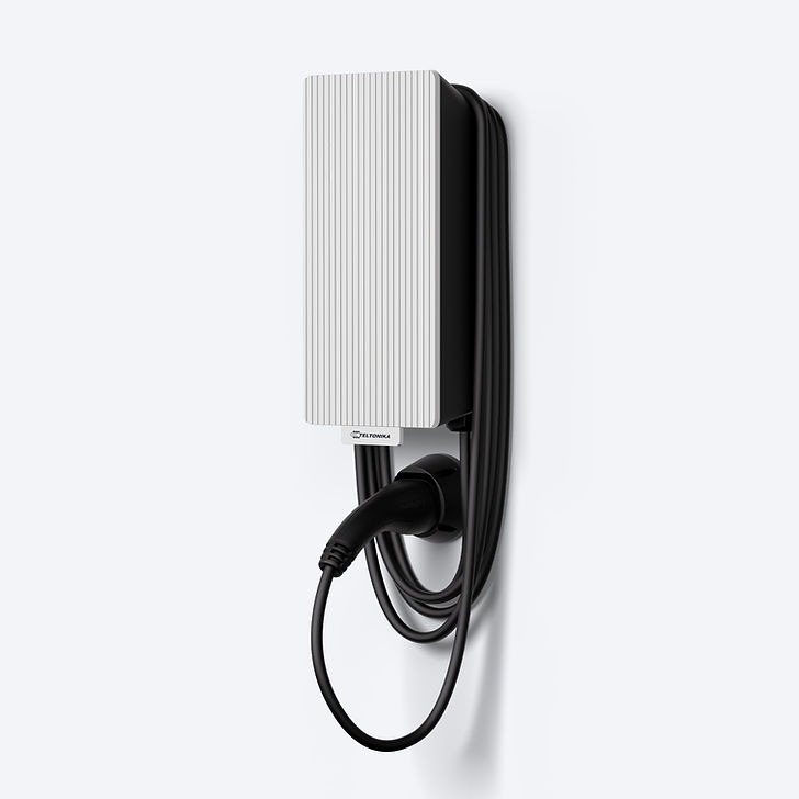 Teltonika EVC2 cable